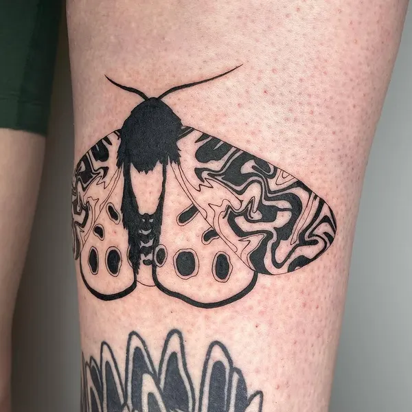 Animal, Nature, Flower