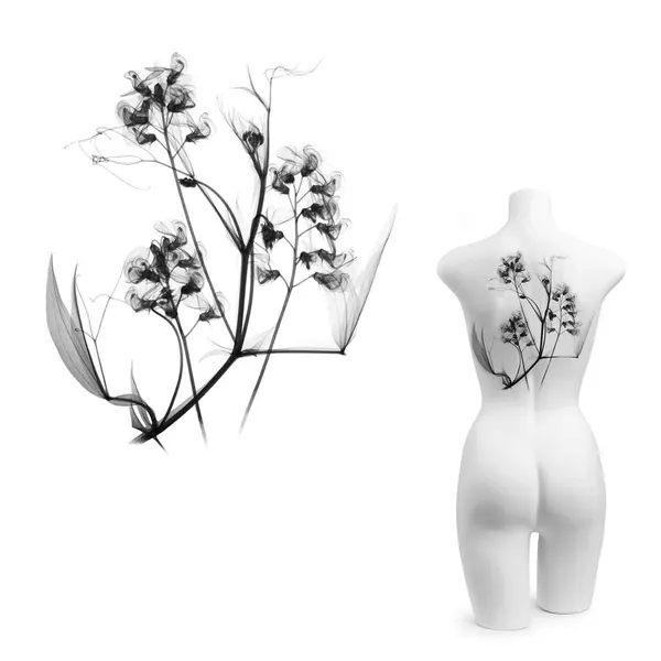plantsnpokes