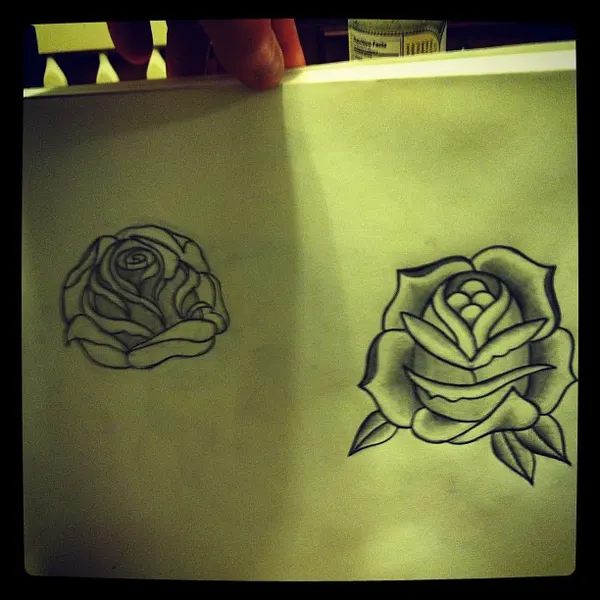 Flower, Rose