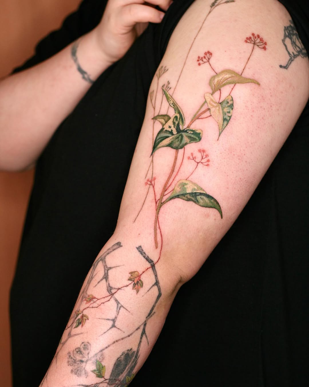 Flower, Rose