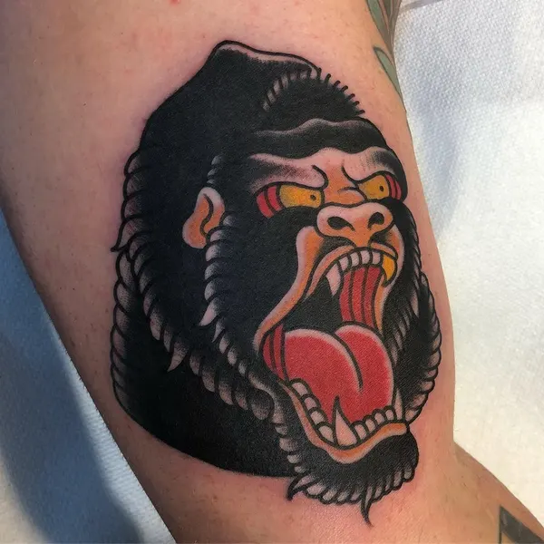 Animal, Tiger