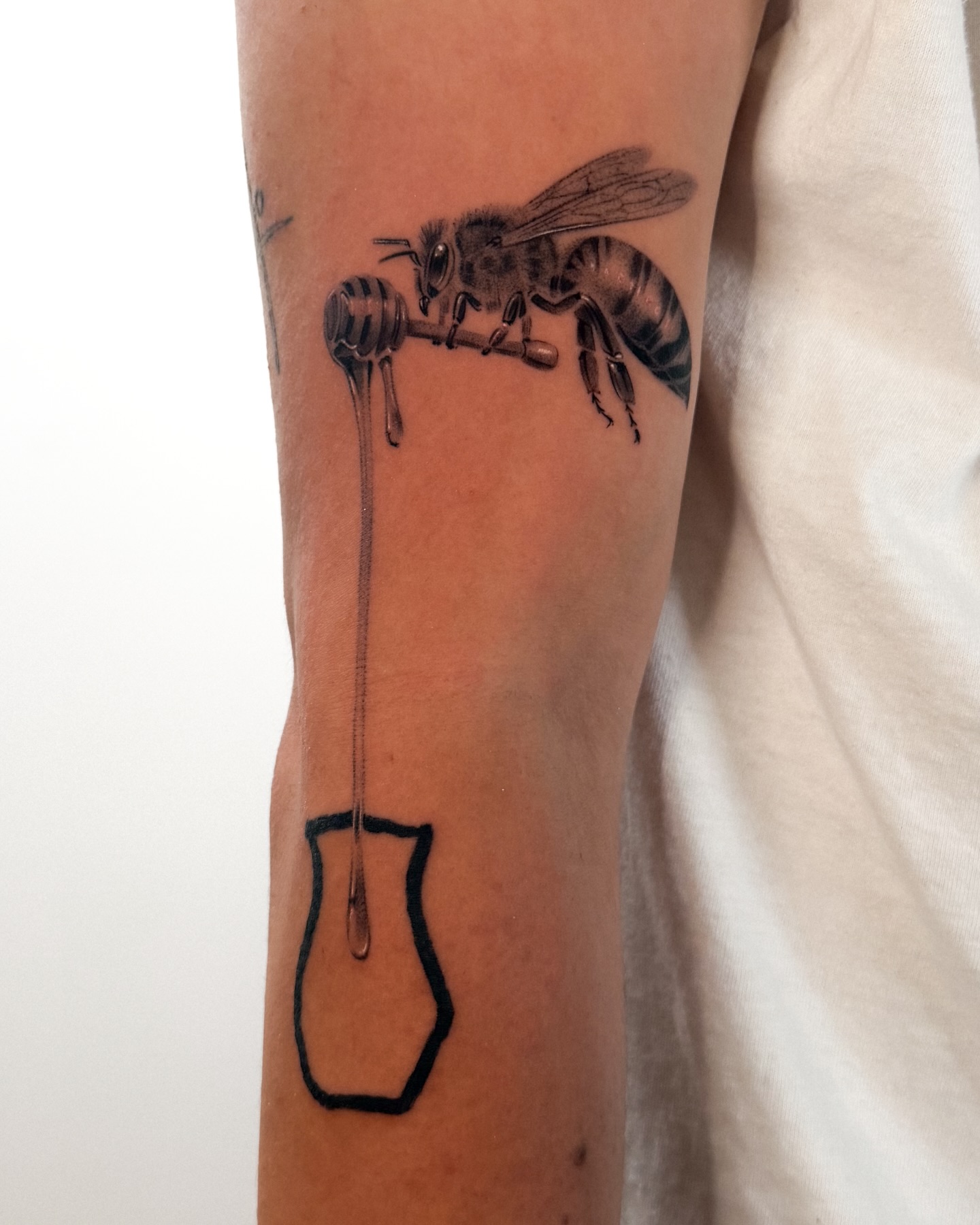 Animal, 벌