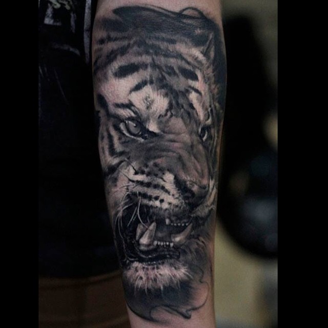 Tiger