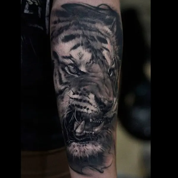 Tiger