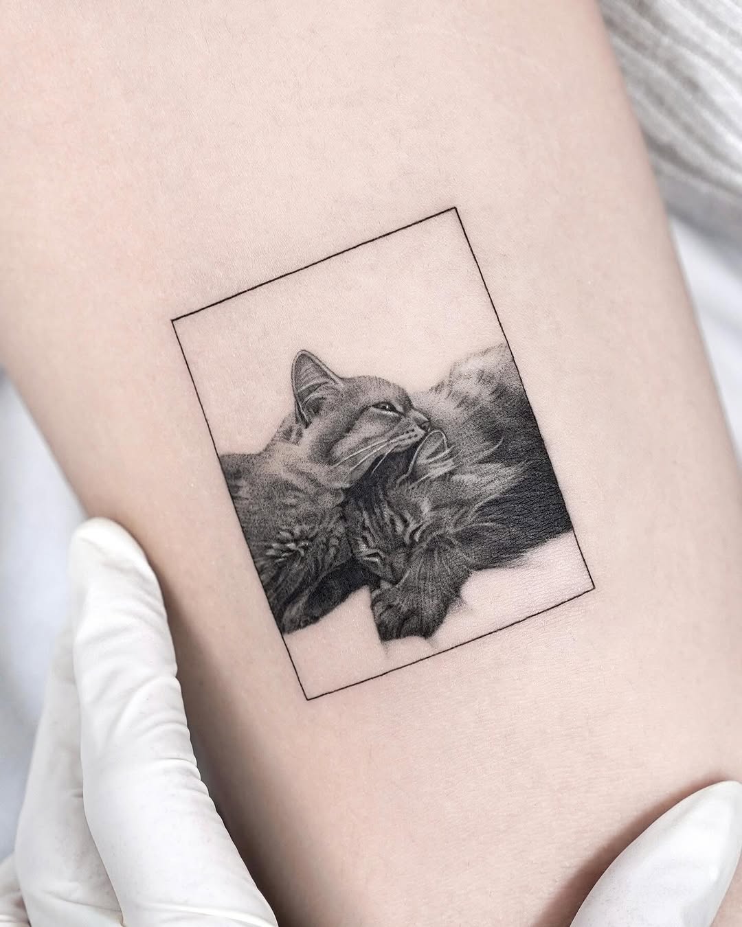 dorok.tattoo