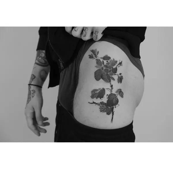 Flower, Rose