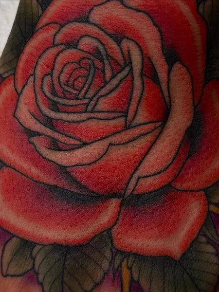 Flower, Rose