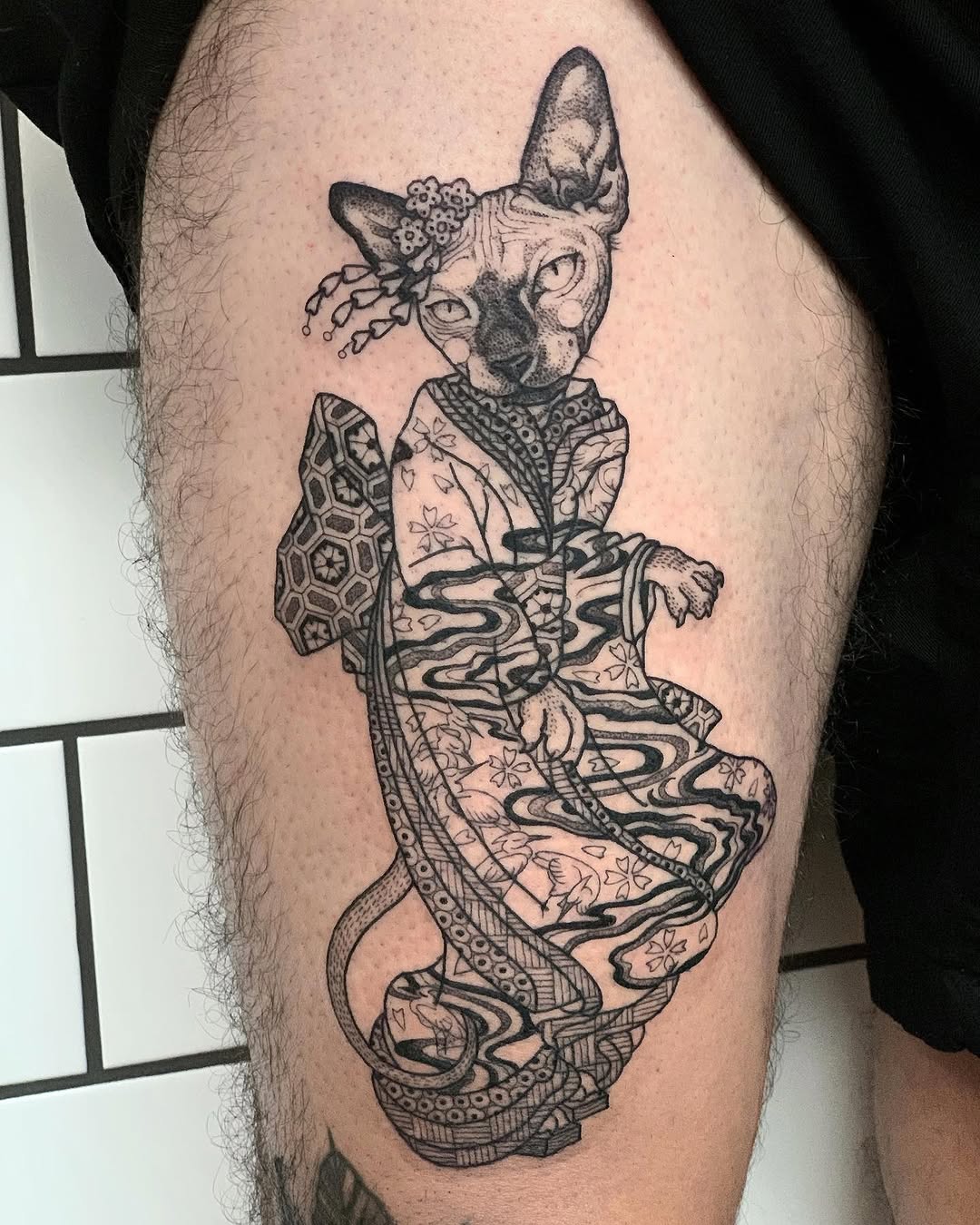 Animal