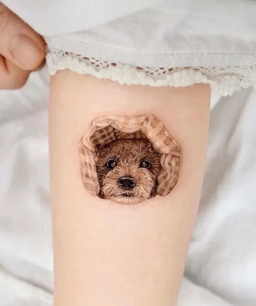 song.e.tattoo