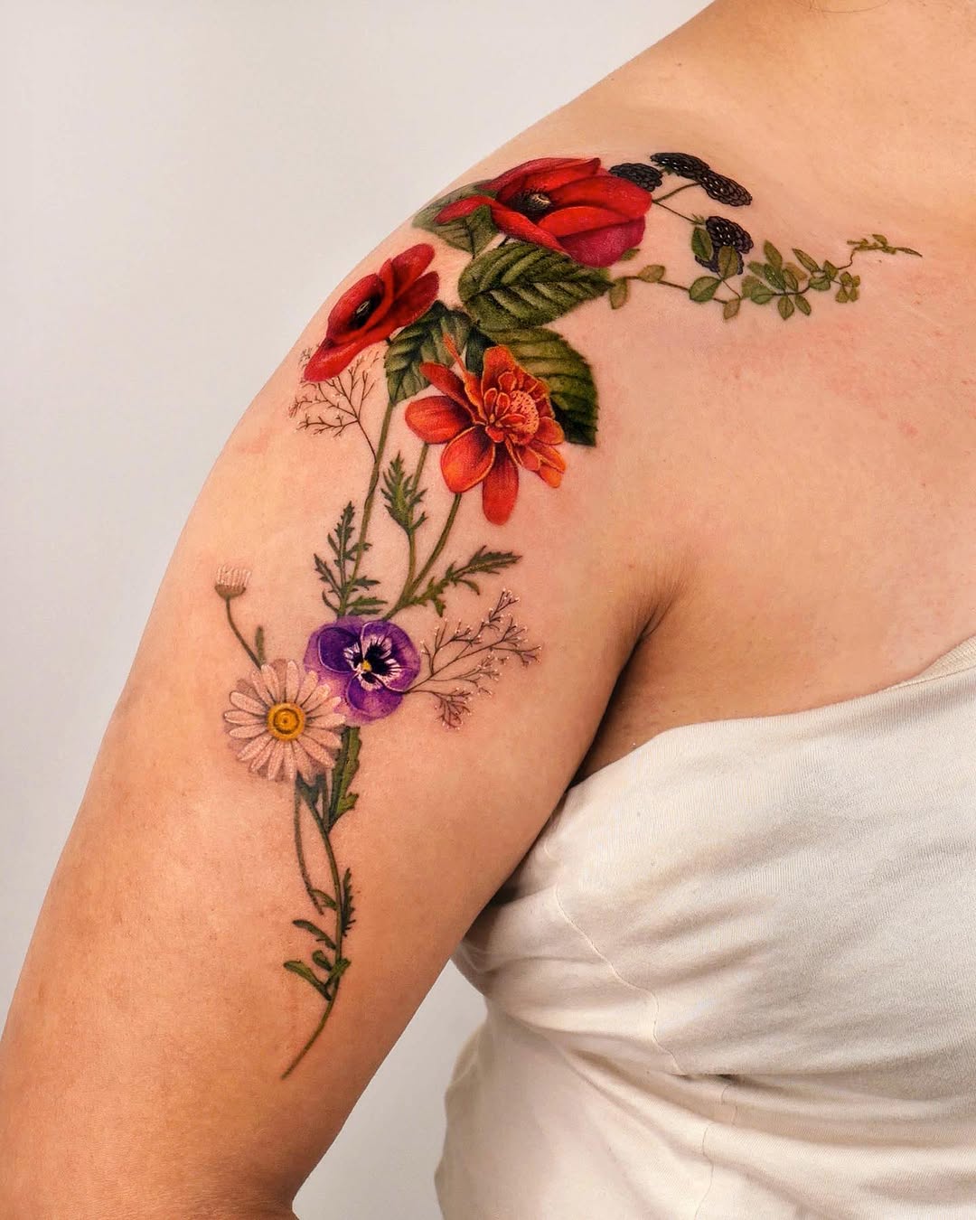 Flower, Rose, Nature
