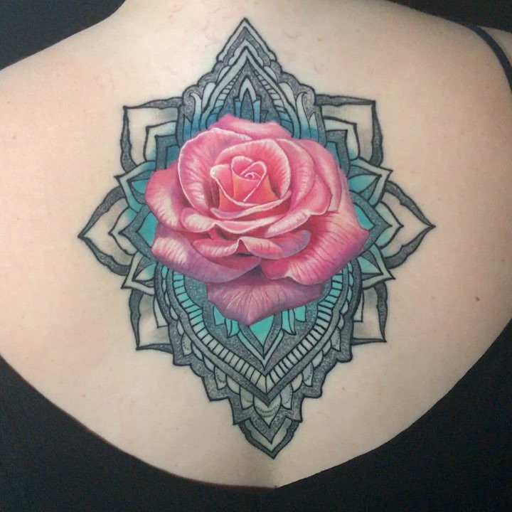 Flower, Rose, Nature