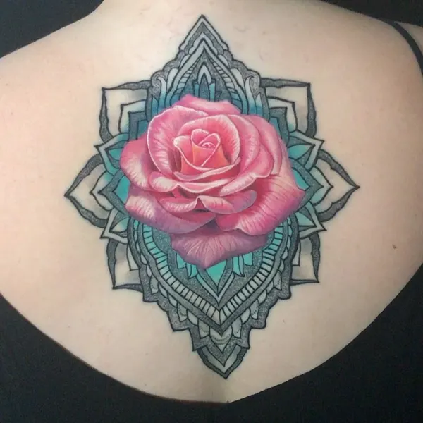 Flower, Rose, Nature