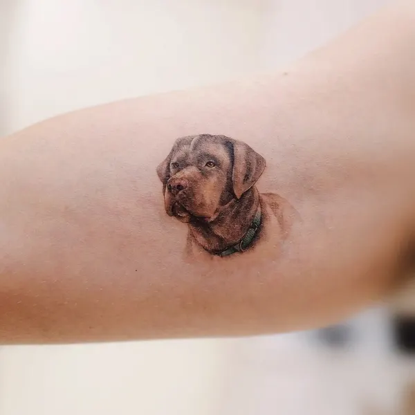 paw.tattoo