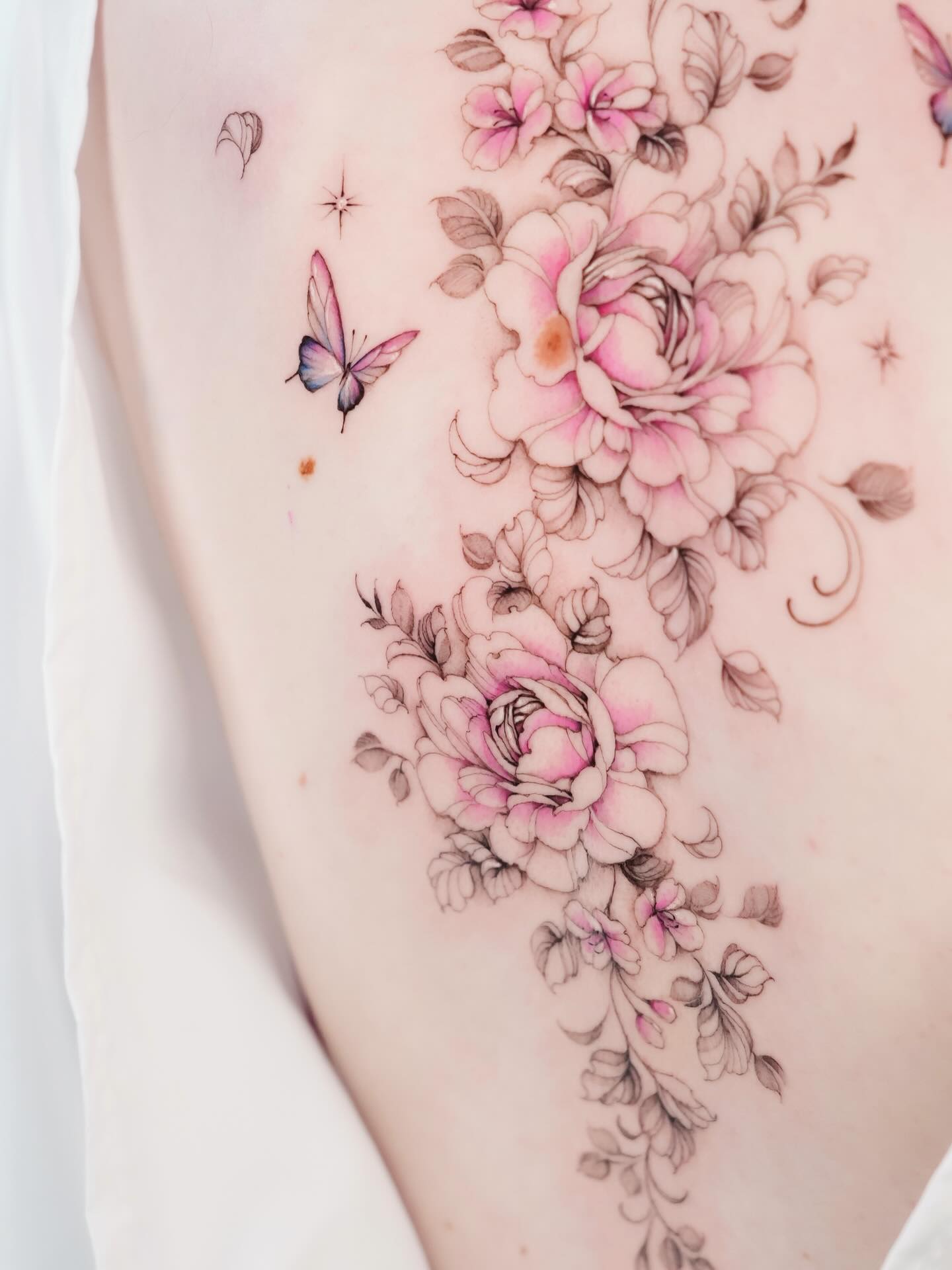 Flower, Nature, Rose