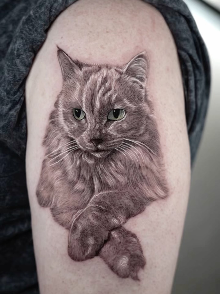 Animal