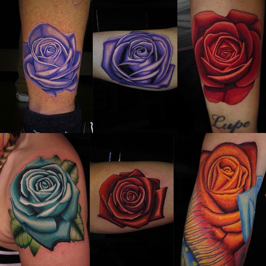 Flower, Rose