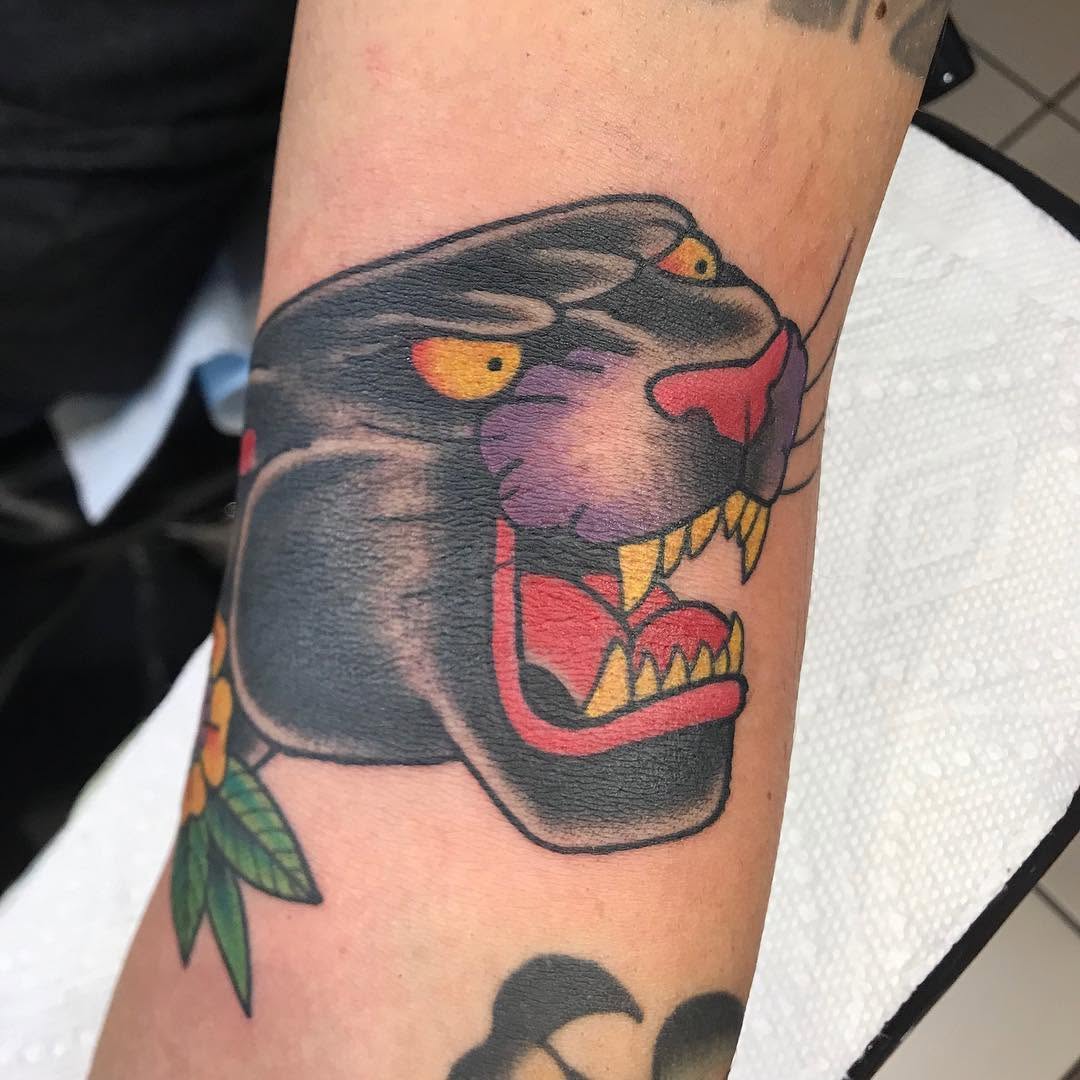 Tiger, Animal