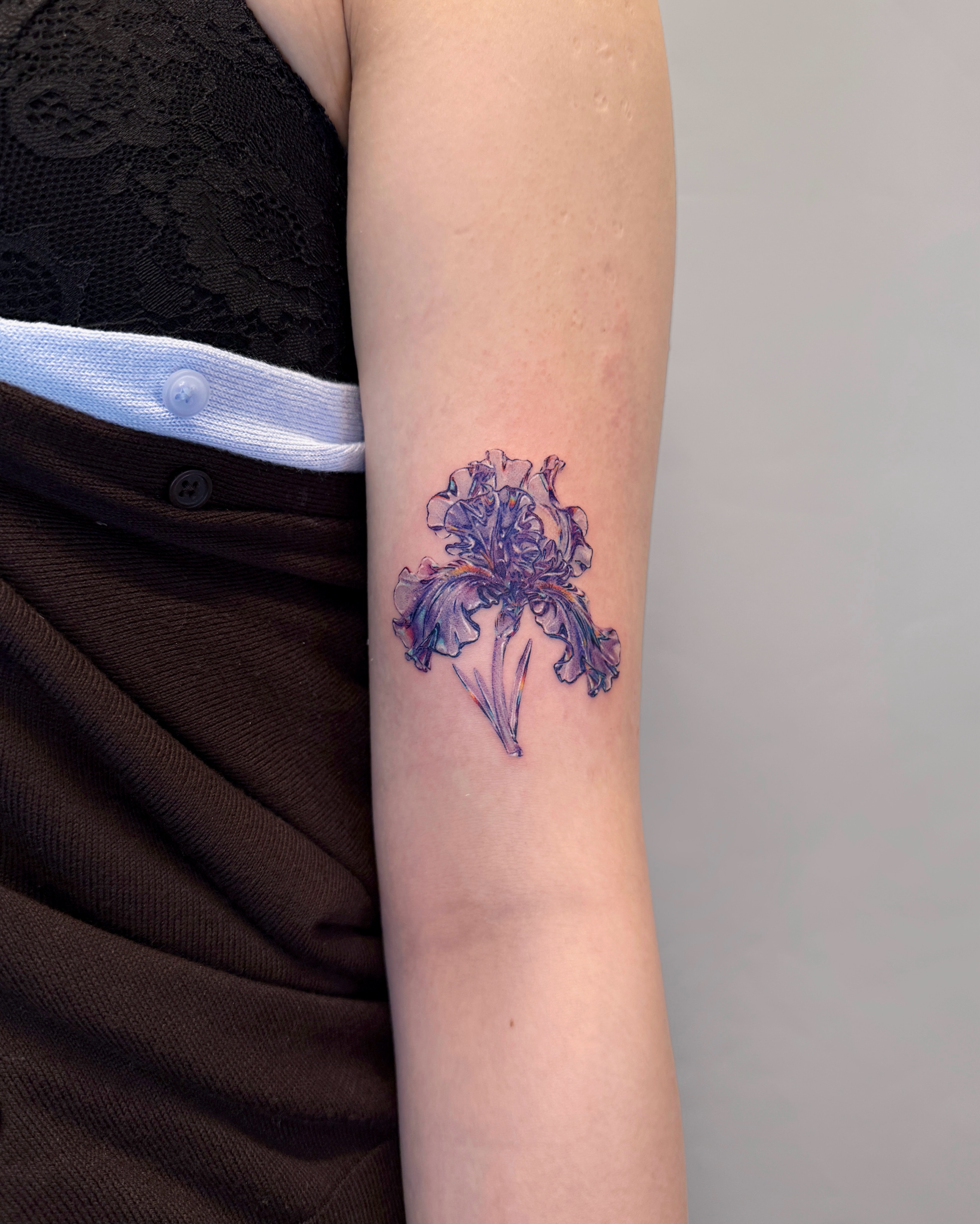Flower, 아이리스, 난초