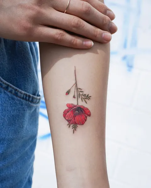 Flower, 양귀비