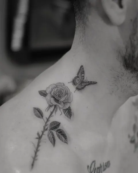 Flower, Rose, Nature