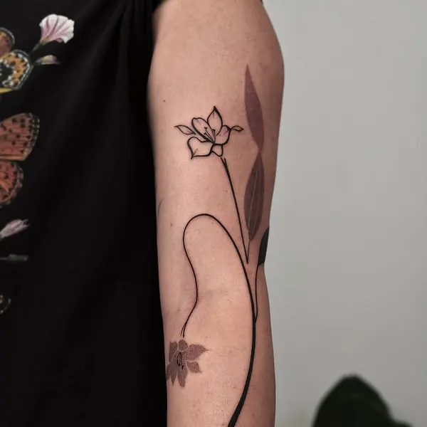 Flower, Rose