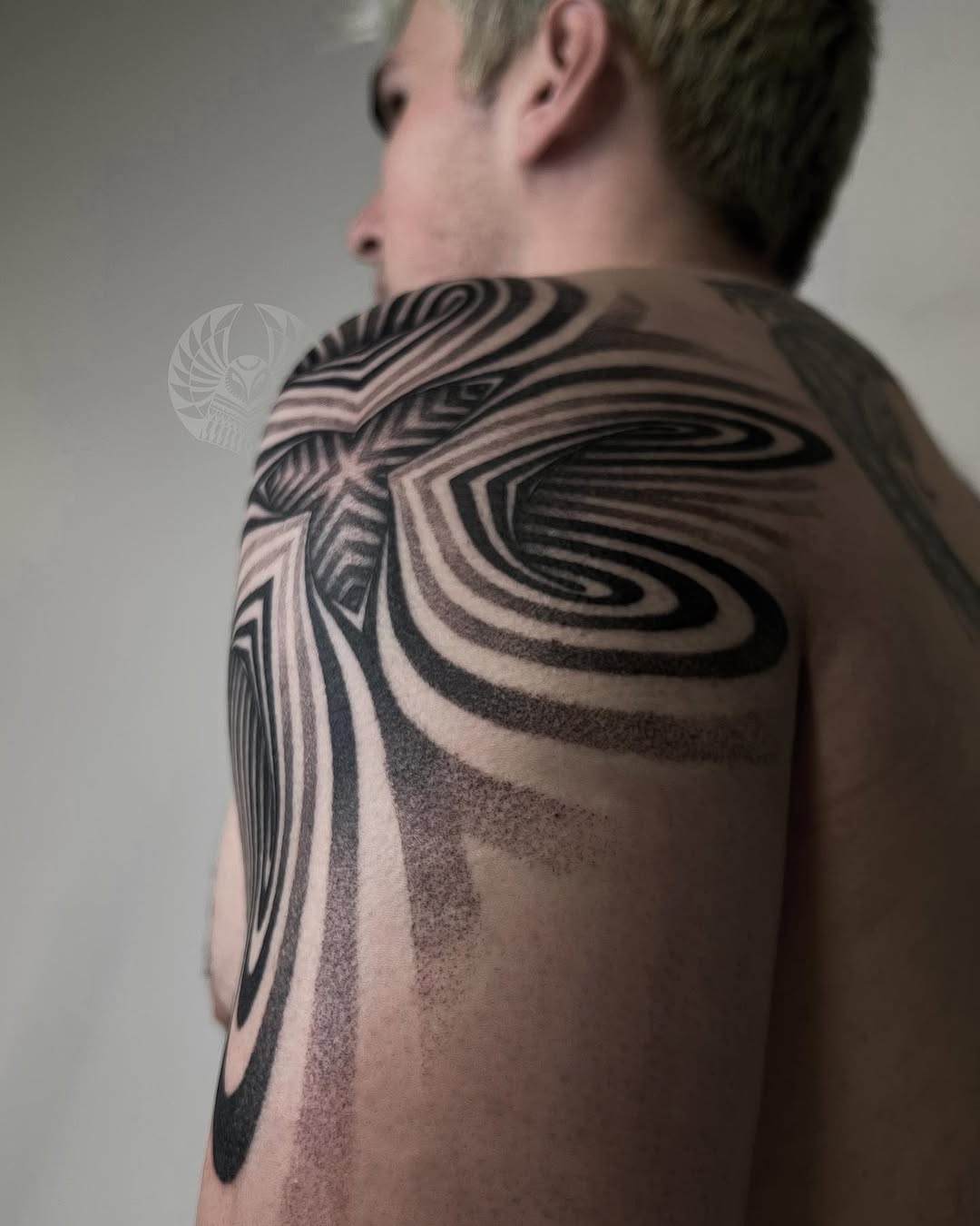 ilya_shape