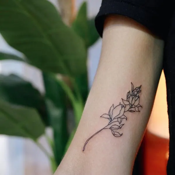 Flower, Rose