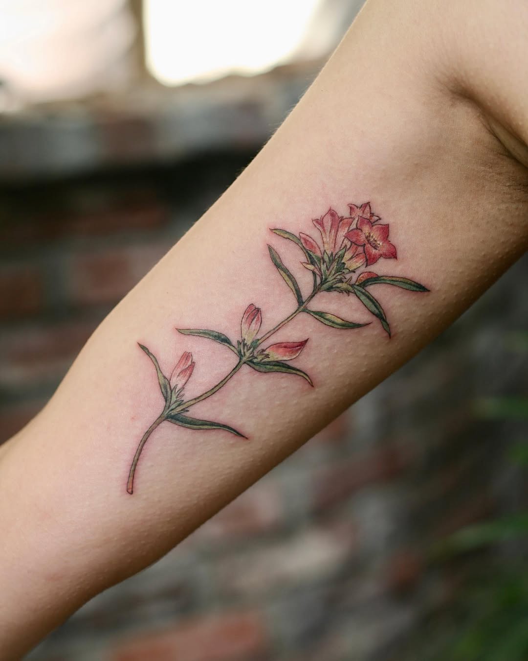 Flower