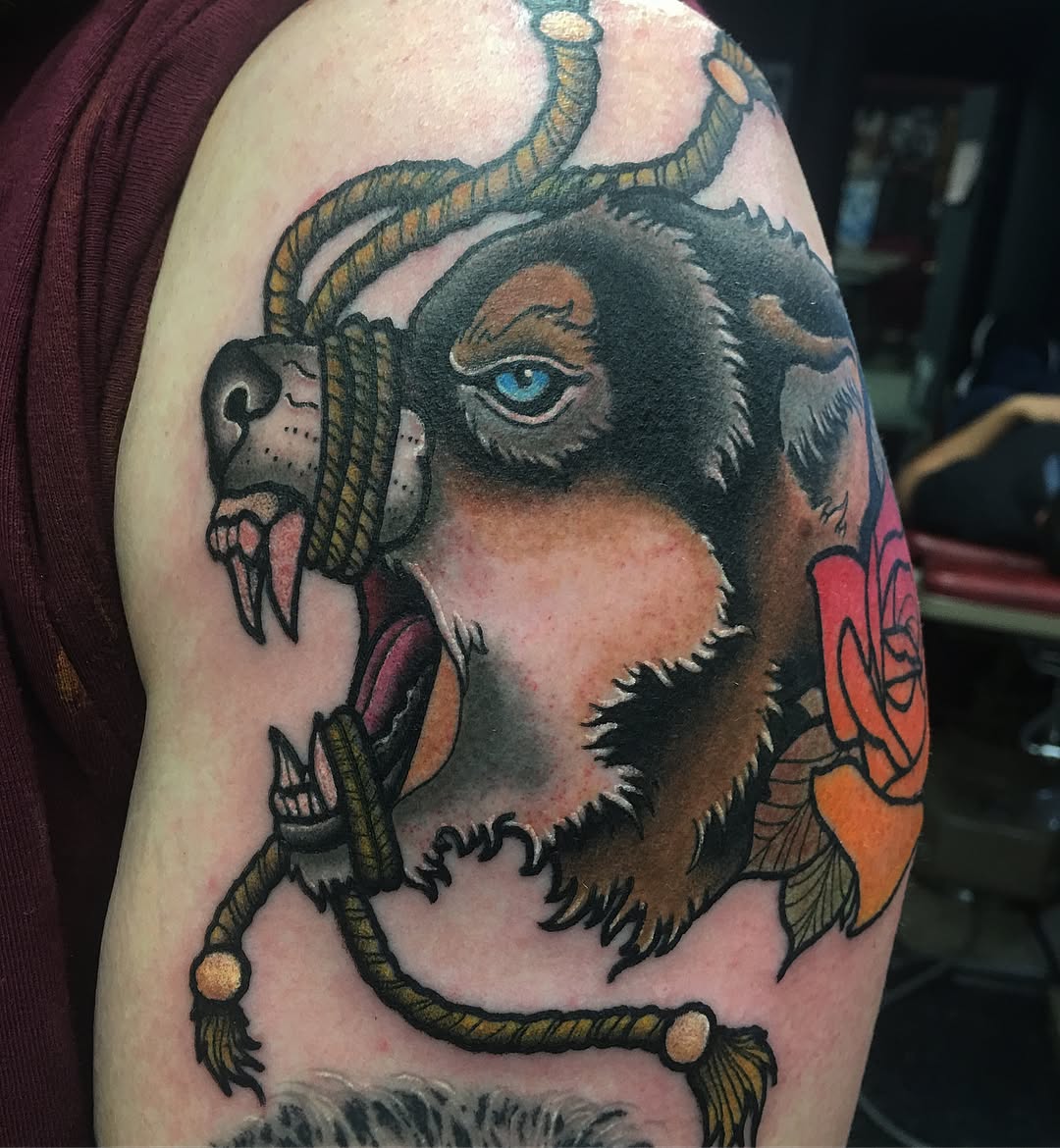 Animal, Tiger