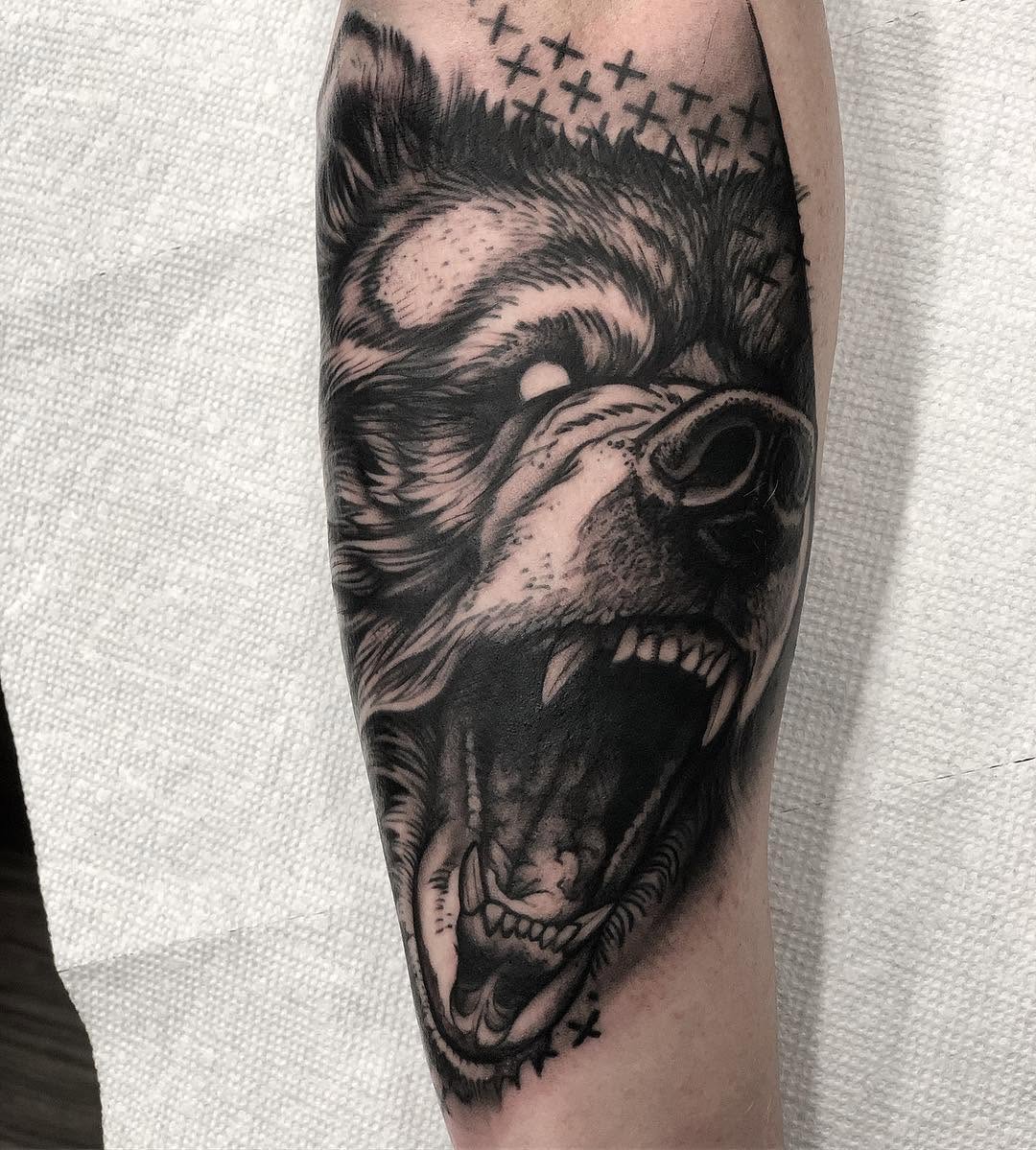 Animal, Tiger