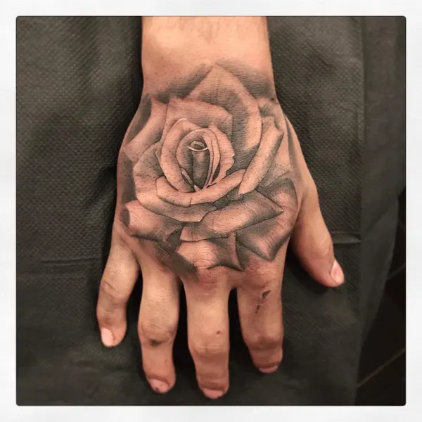 Rose, Flower