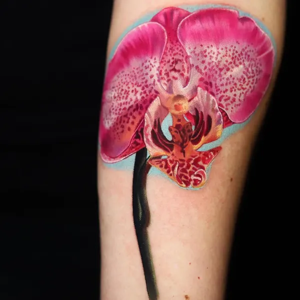 Flower, 난초