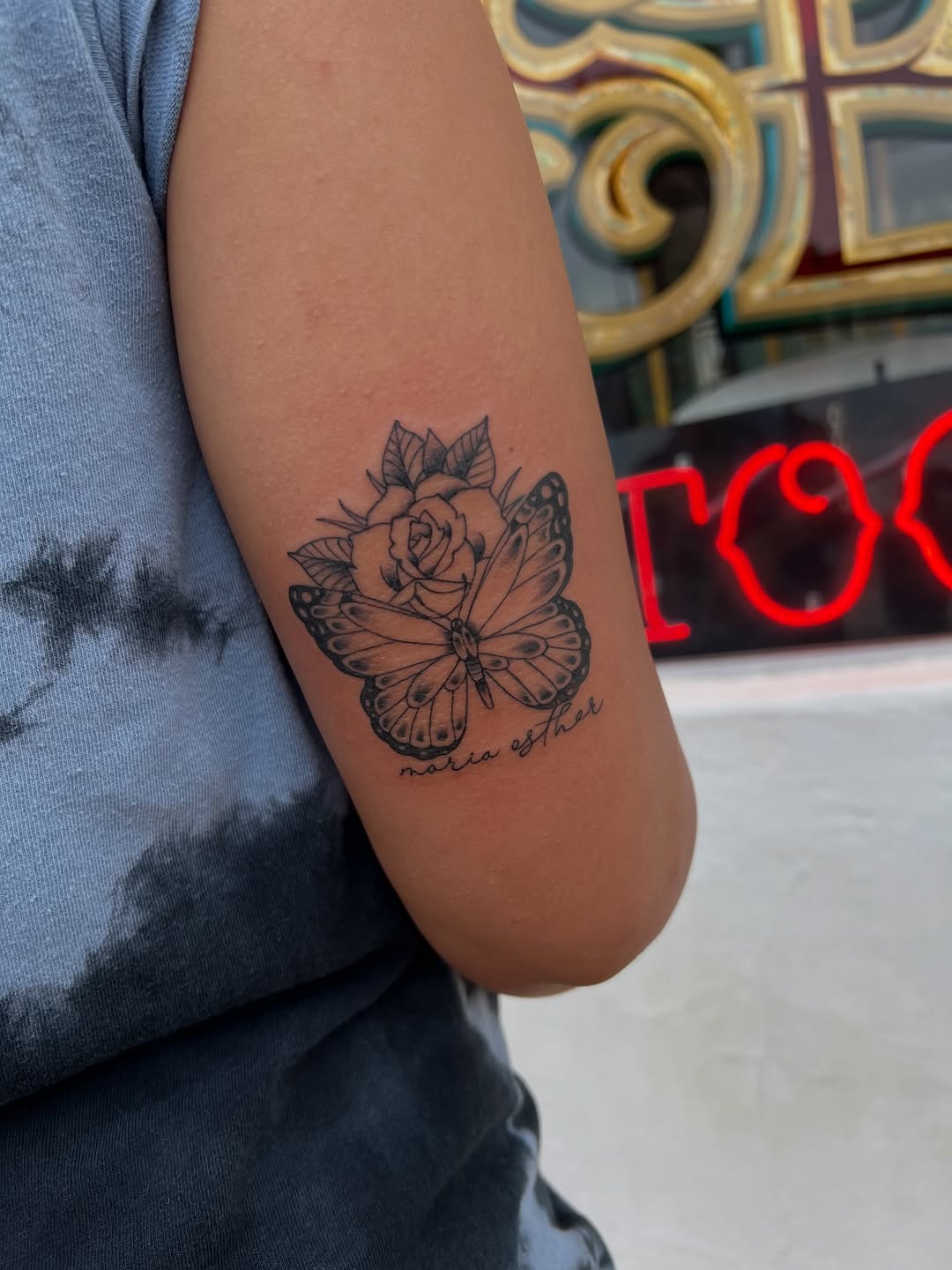 Animal, Nature, Flower