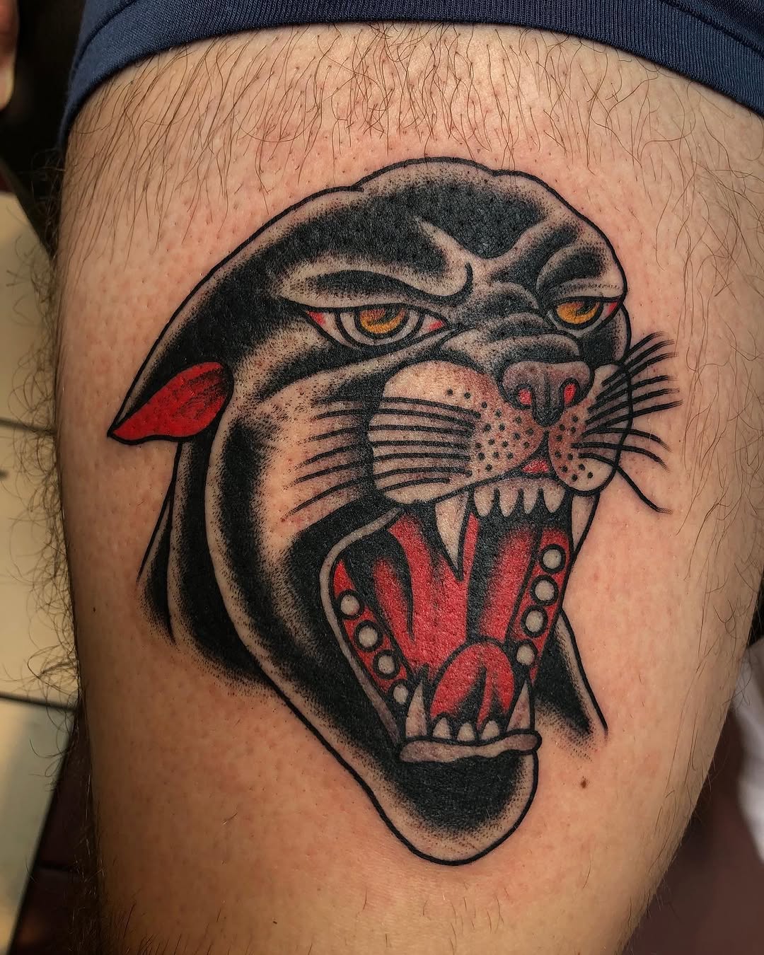 Tiger, Animal
