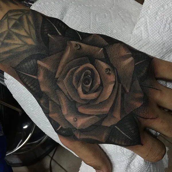 Flower, Rose