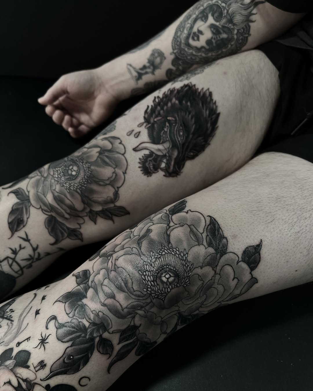 Flower, Rose