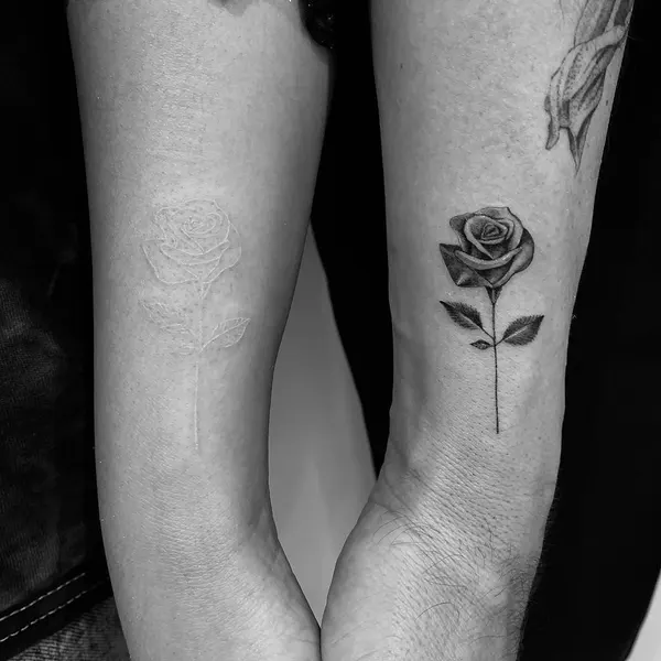 Flower, Rose