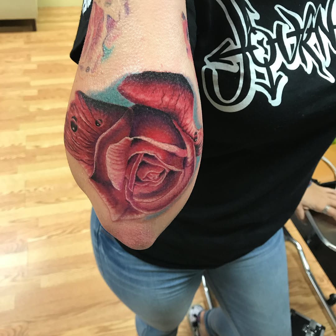Flower, Rose
