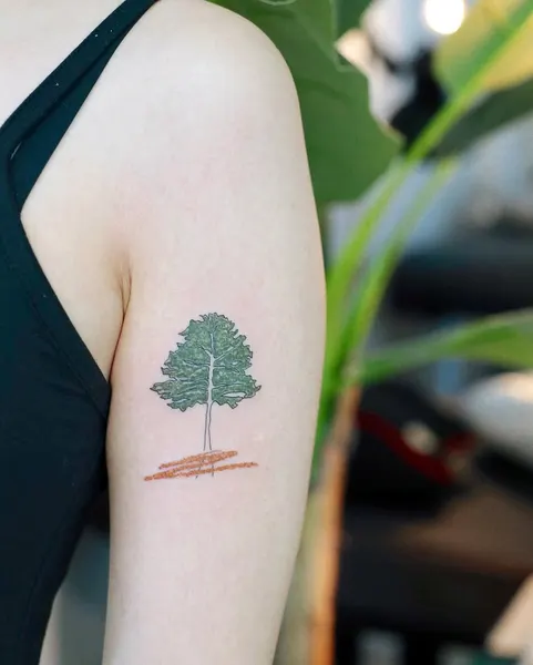 Nature, 나무, 소나무, 숲
