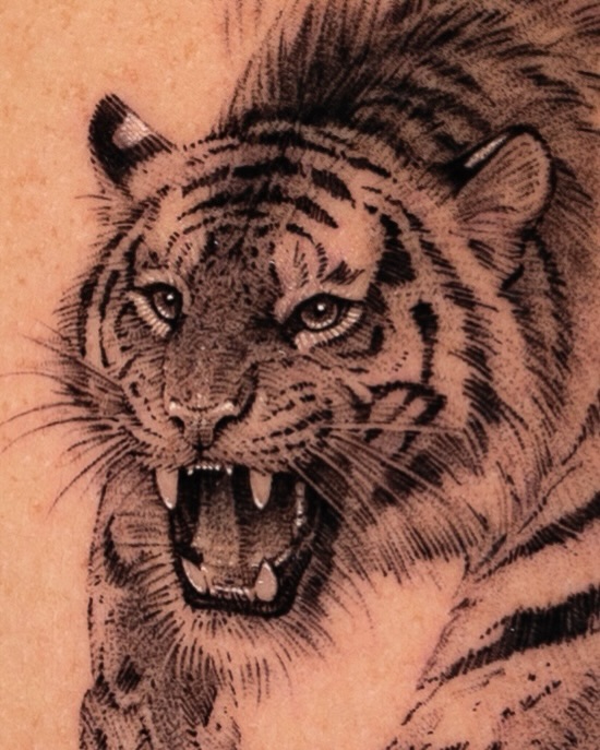 Tiger