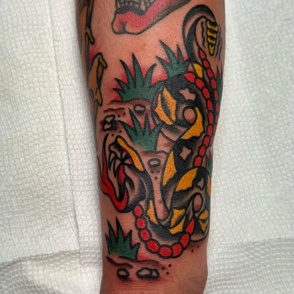 Animal, Tiger