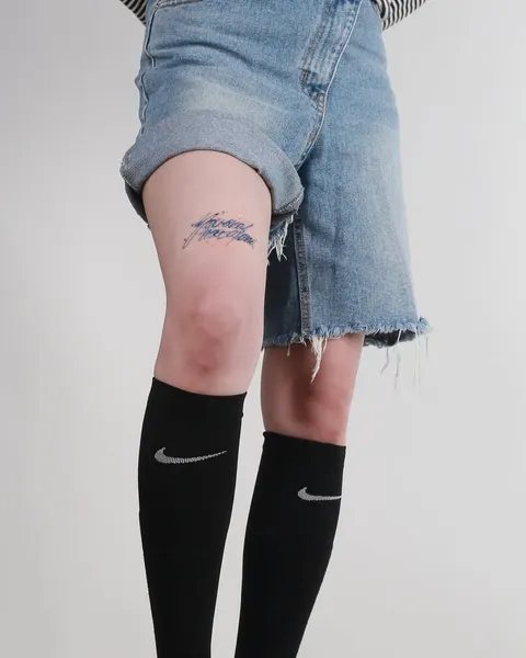 펑크, 해태