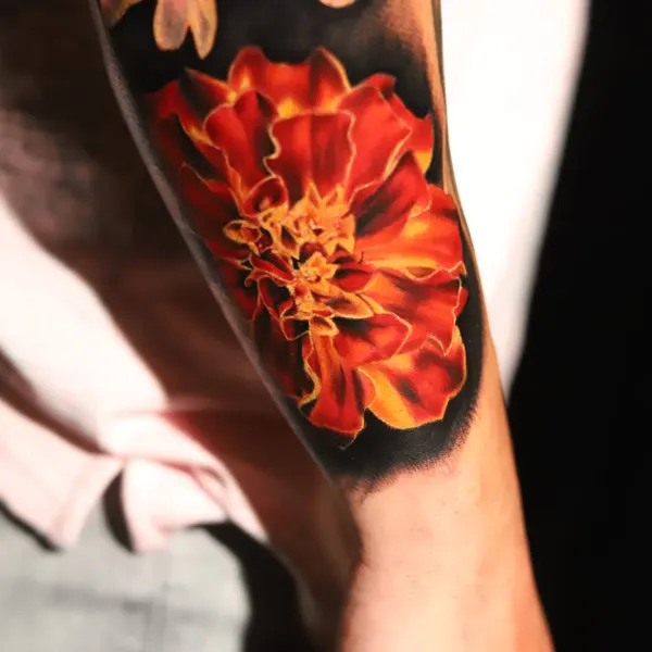 Flower, Rose