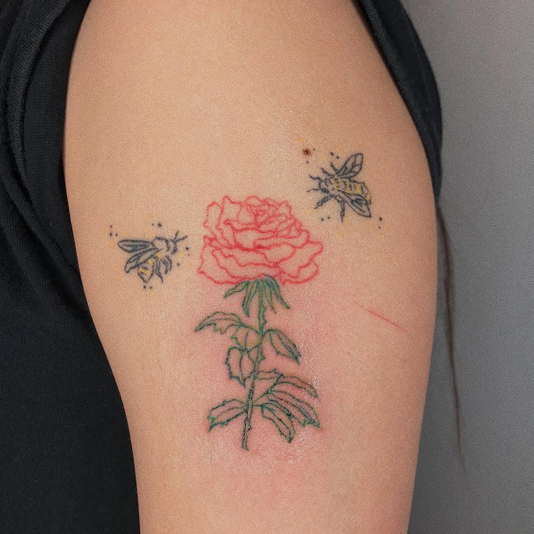 Flower, Rose, Nature