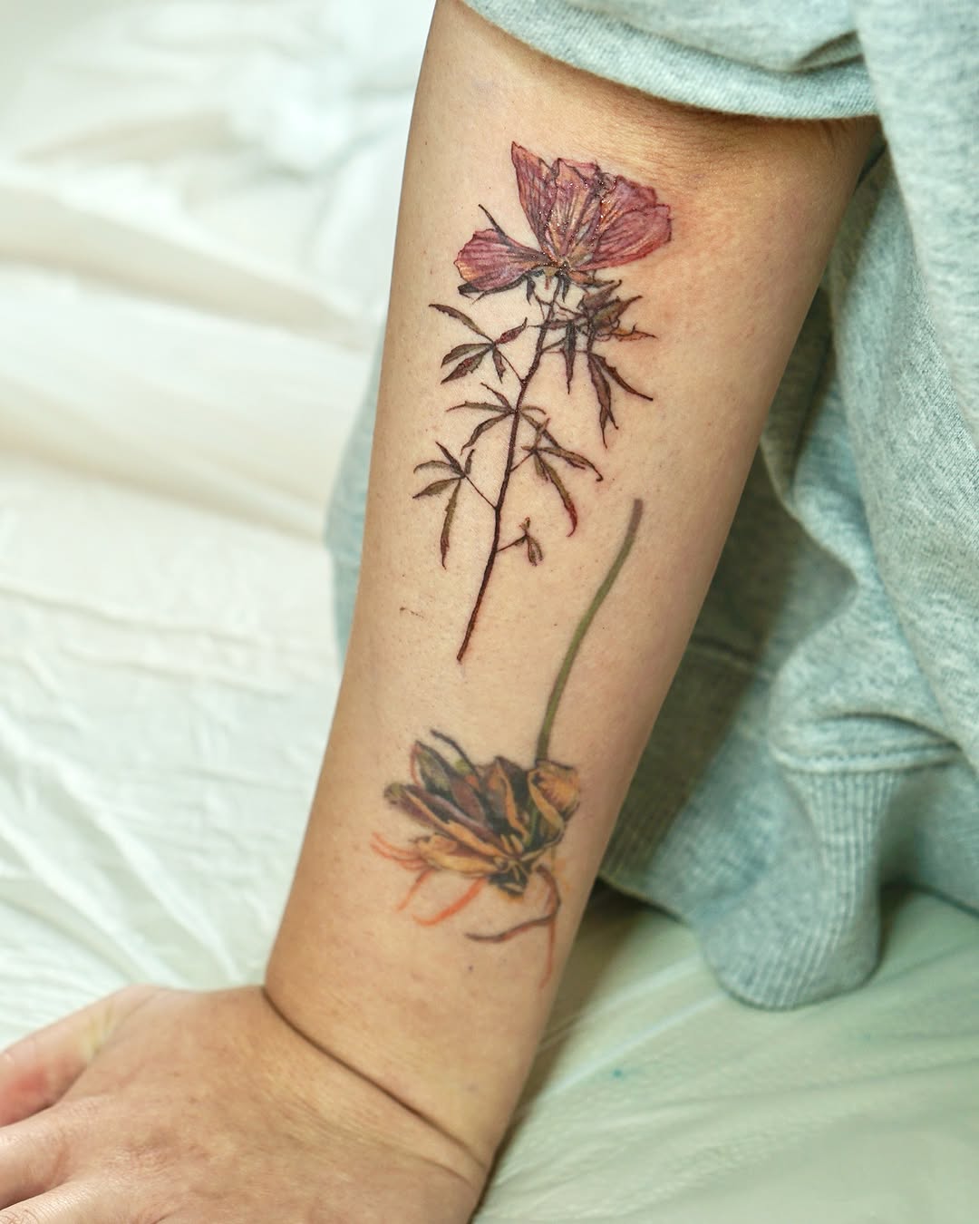 Flower, Rose