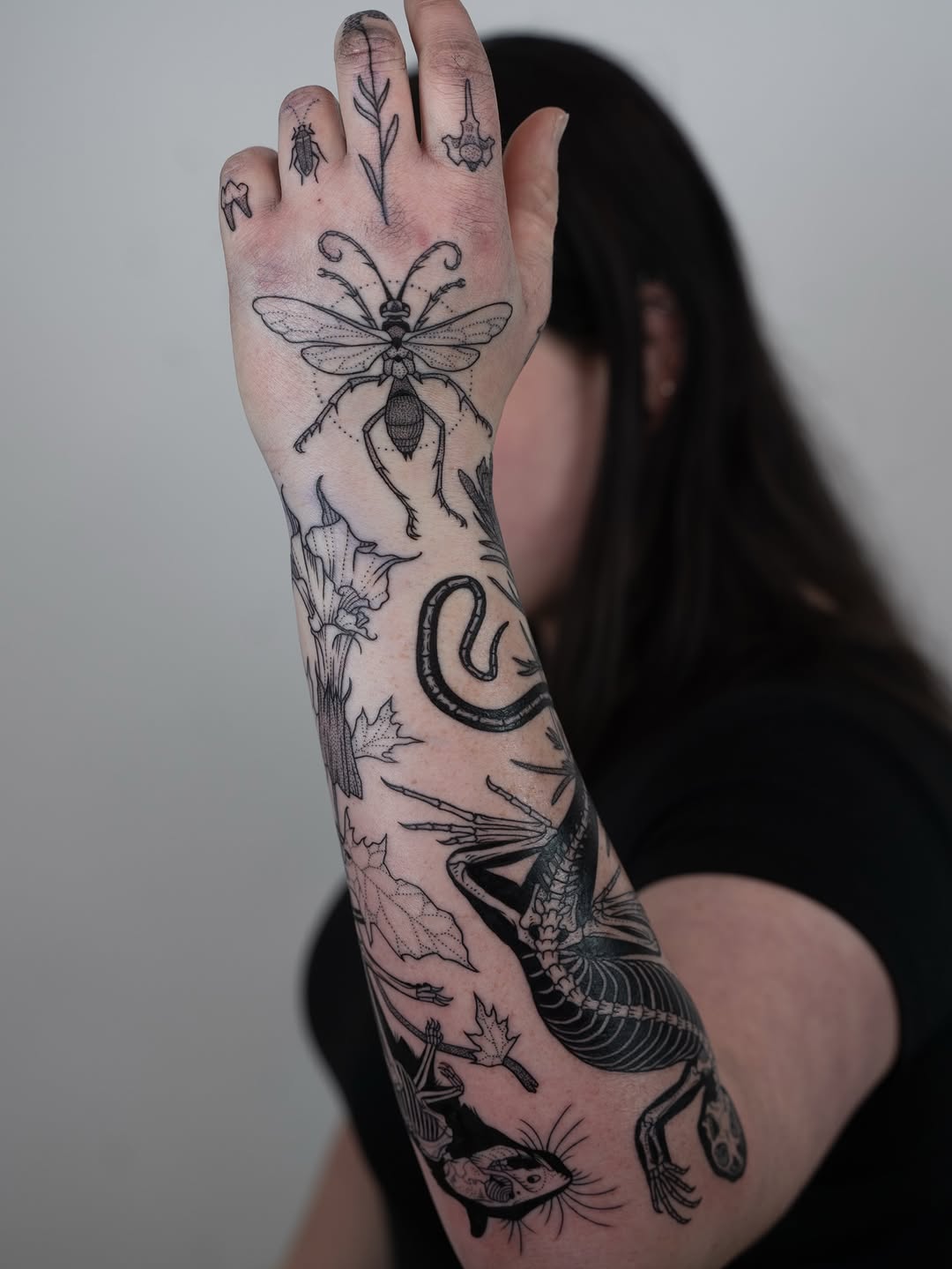 freeorgy