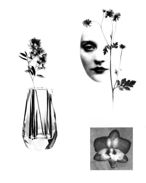 plantsnpokes