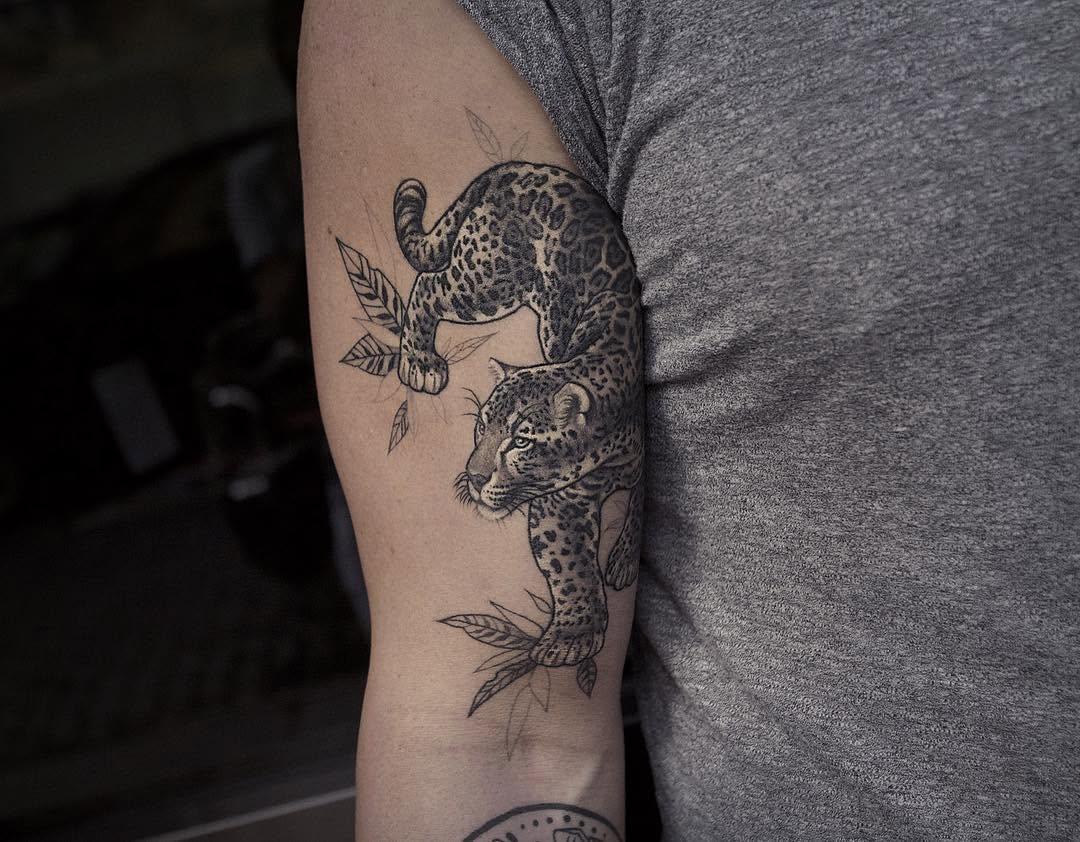 Animal, Tiger