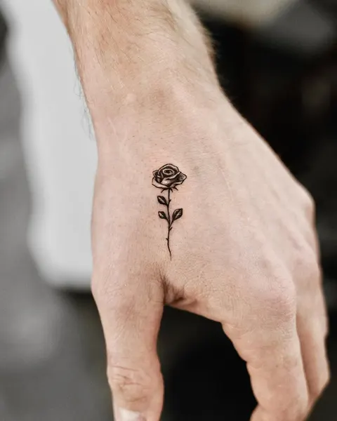 Flower, Rose