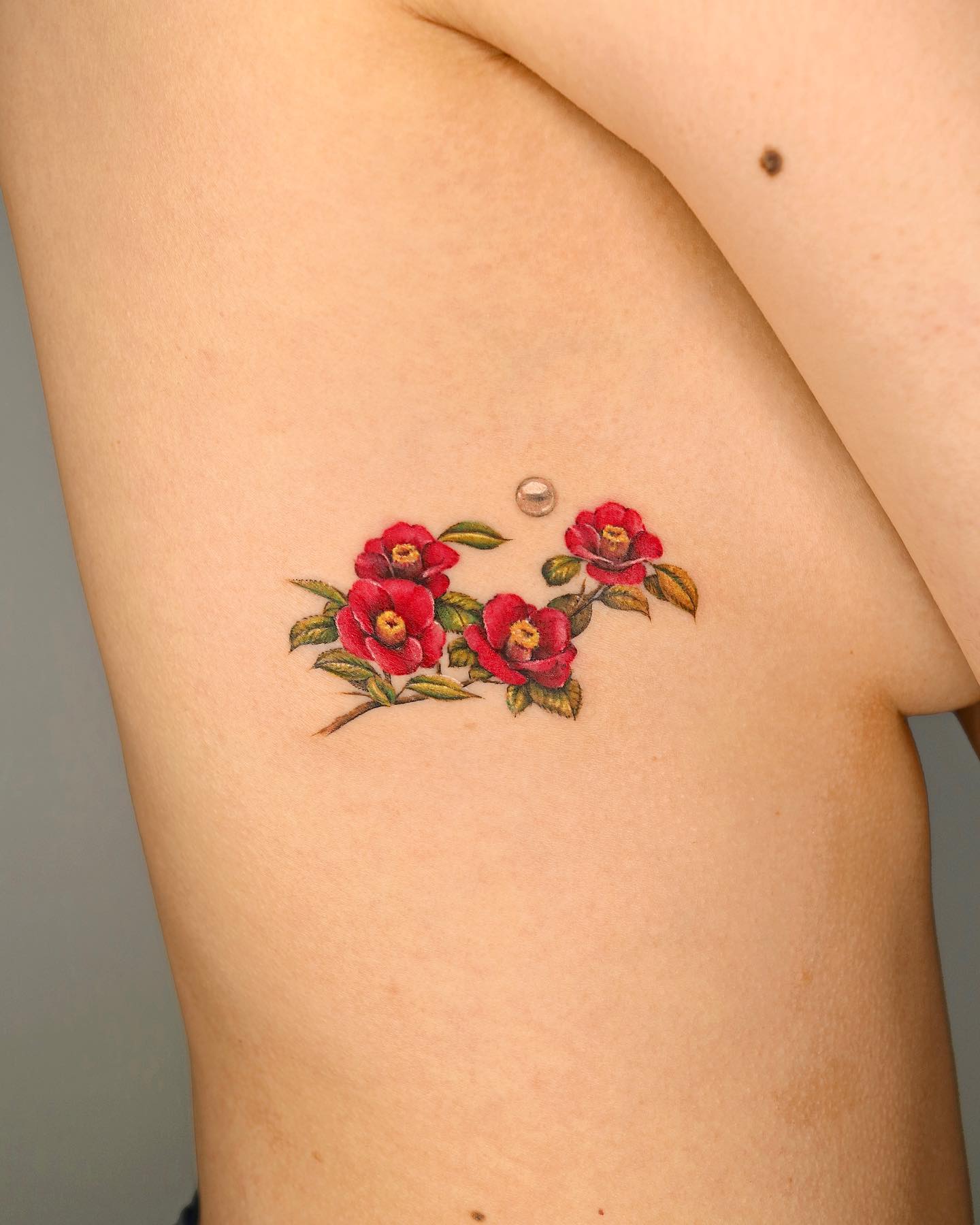 Flower, Rose